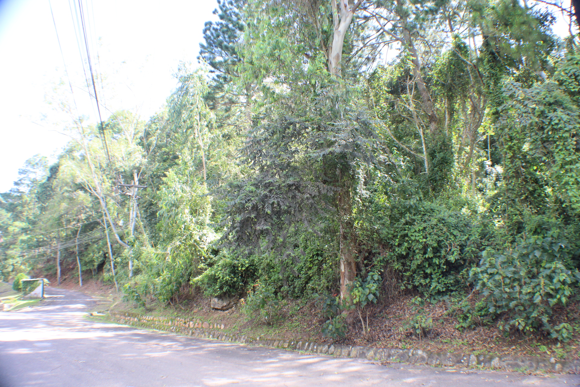 Venta: Terreno en circuito cerrado, Res. Villa Elena
